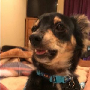 Meet your Posher, Madison